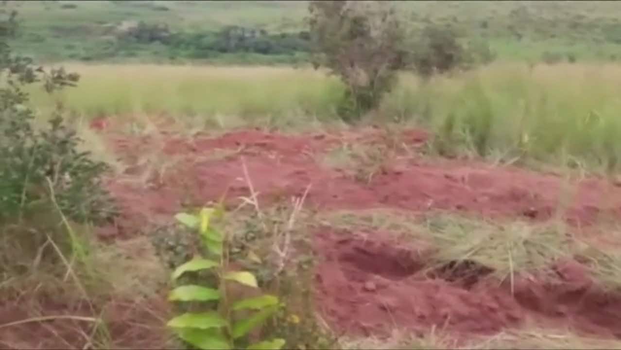 FN: Vi är förskräckta av filmen