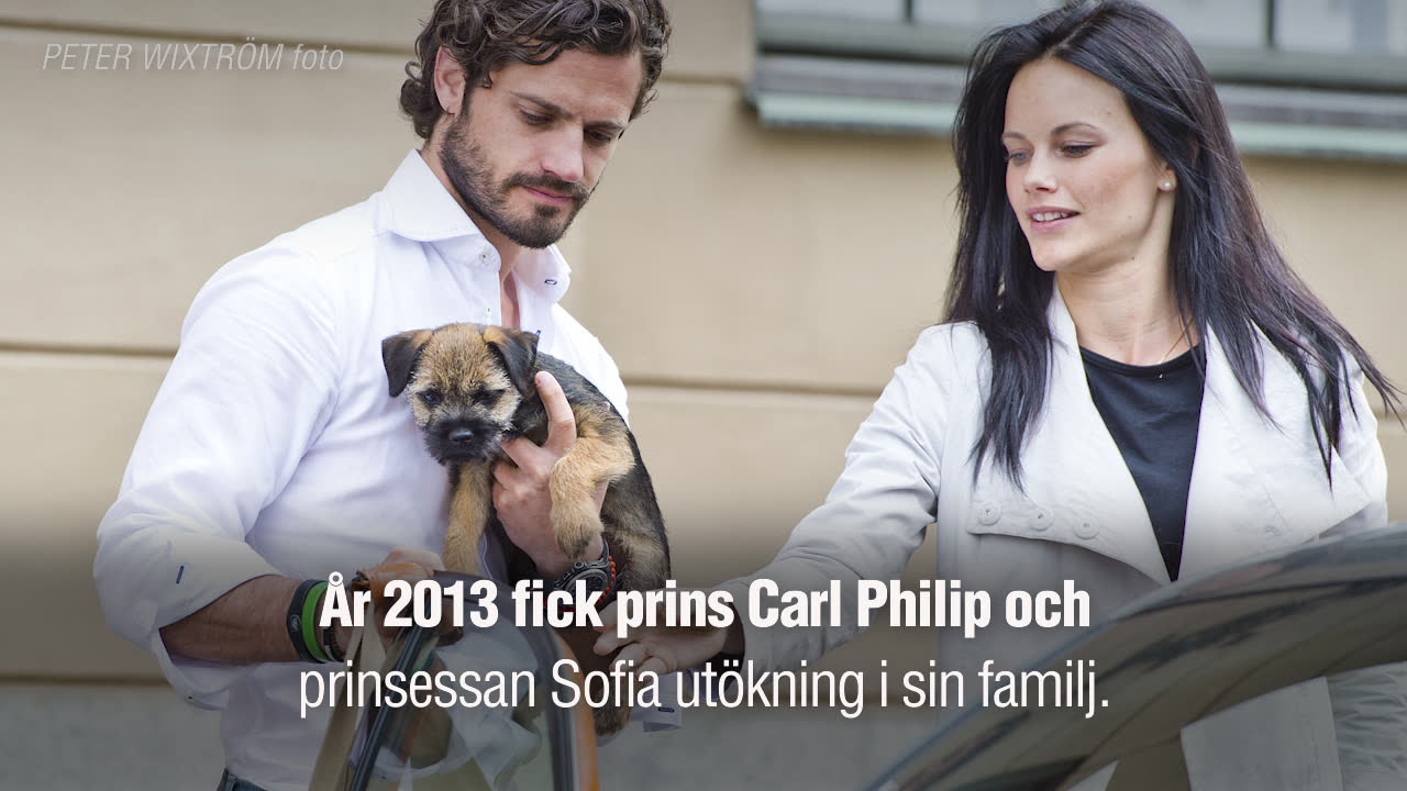 Prinsens hund Siri på äventyr – utan matte och husse