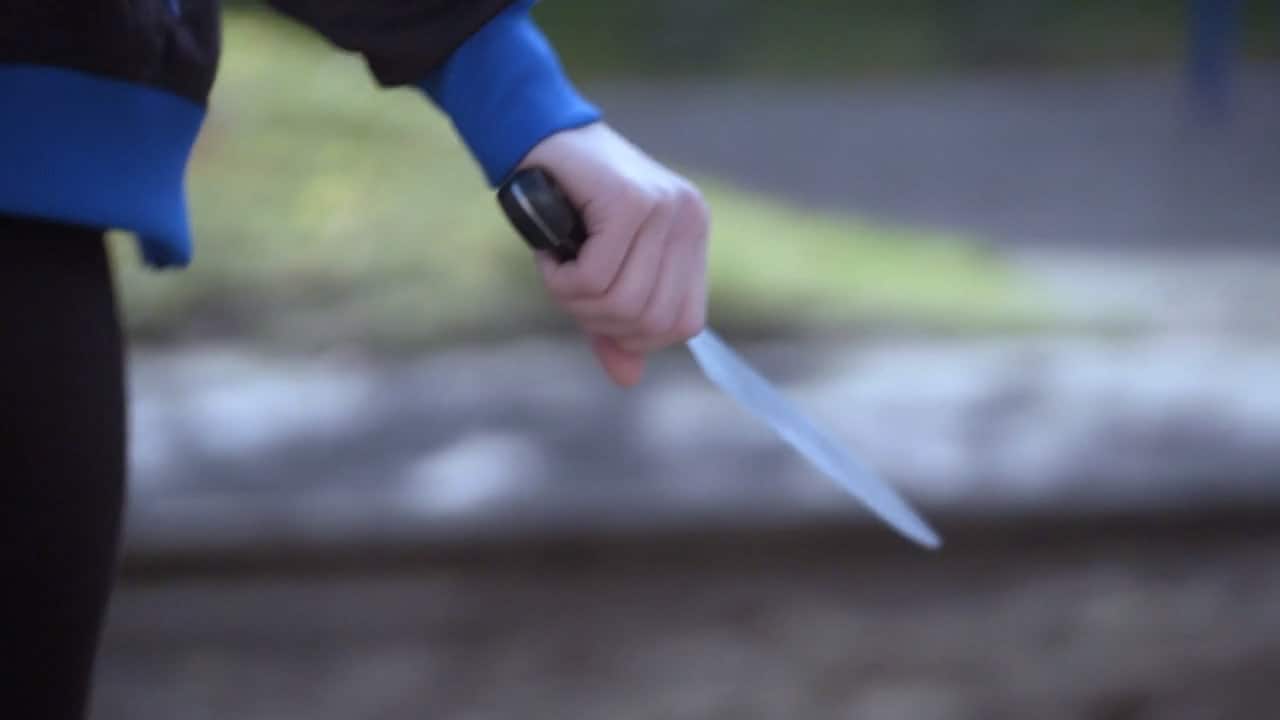 "Jag hann tänka att det var bättre att hon attackerade mig än ett litet barn"