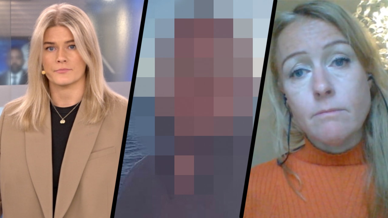 27-årig man döms till 16 års fängelse för mordet på Elin