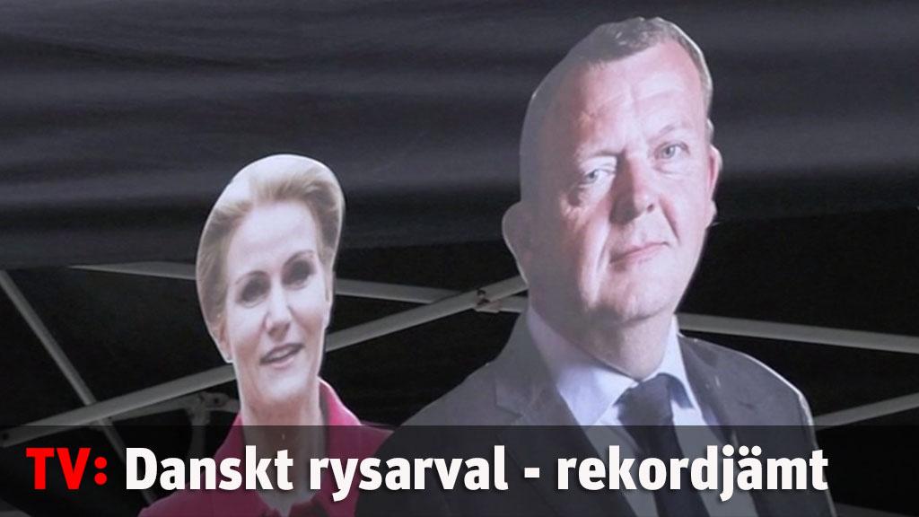 Danskt rysarval