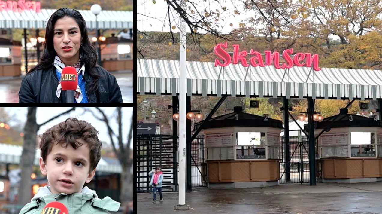 Världens största giftorm har rymt