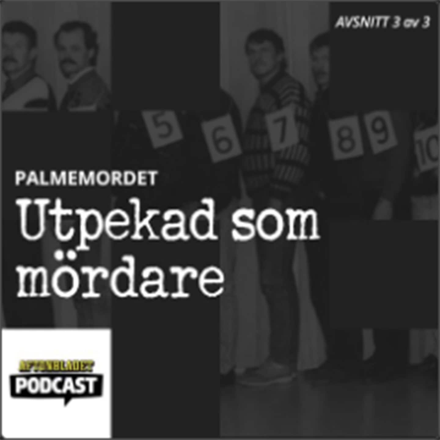 Palmemordet del 3 - Utpekad som mördare