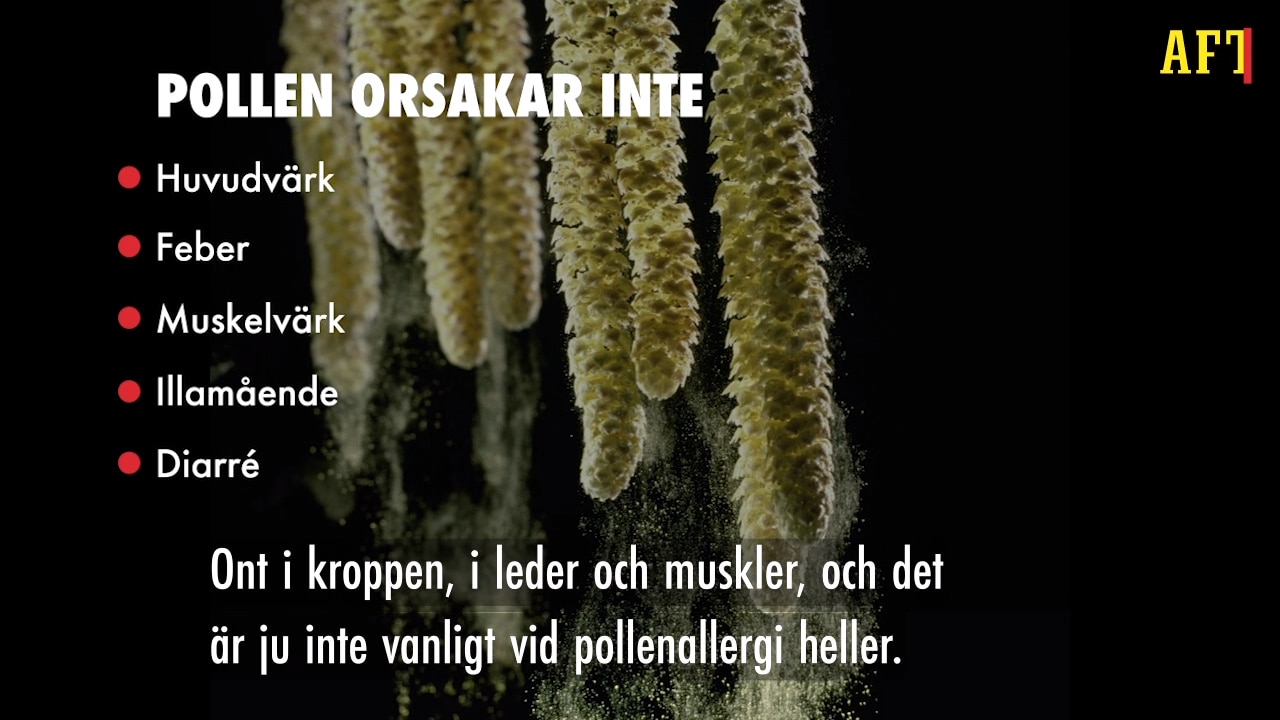 Experten: Det här är skillnaden mellan pollensymptom och covid