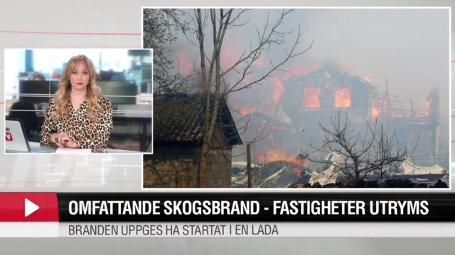 Omfattande skogsbrand – fastigheter utryms