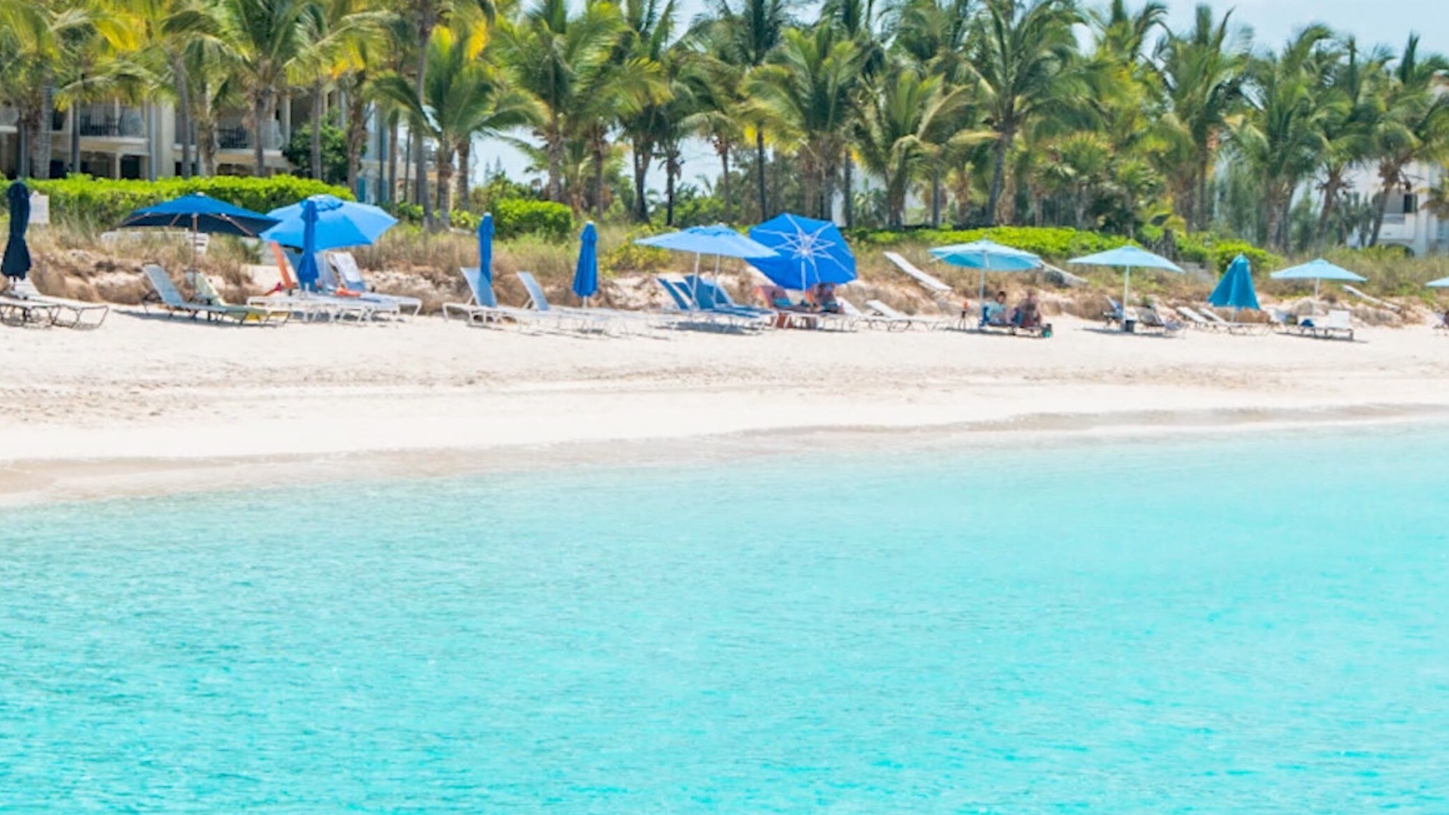 Här möter du våren i Europa