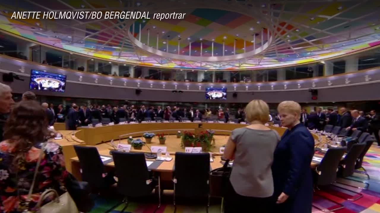 Så ska S vinna EU-valet