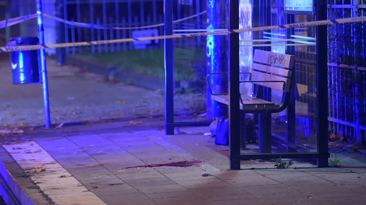 Kammaråklagaren: "Han har erkänt"