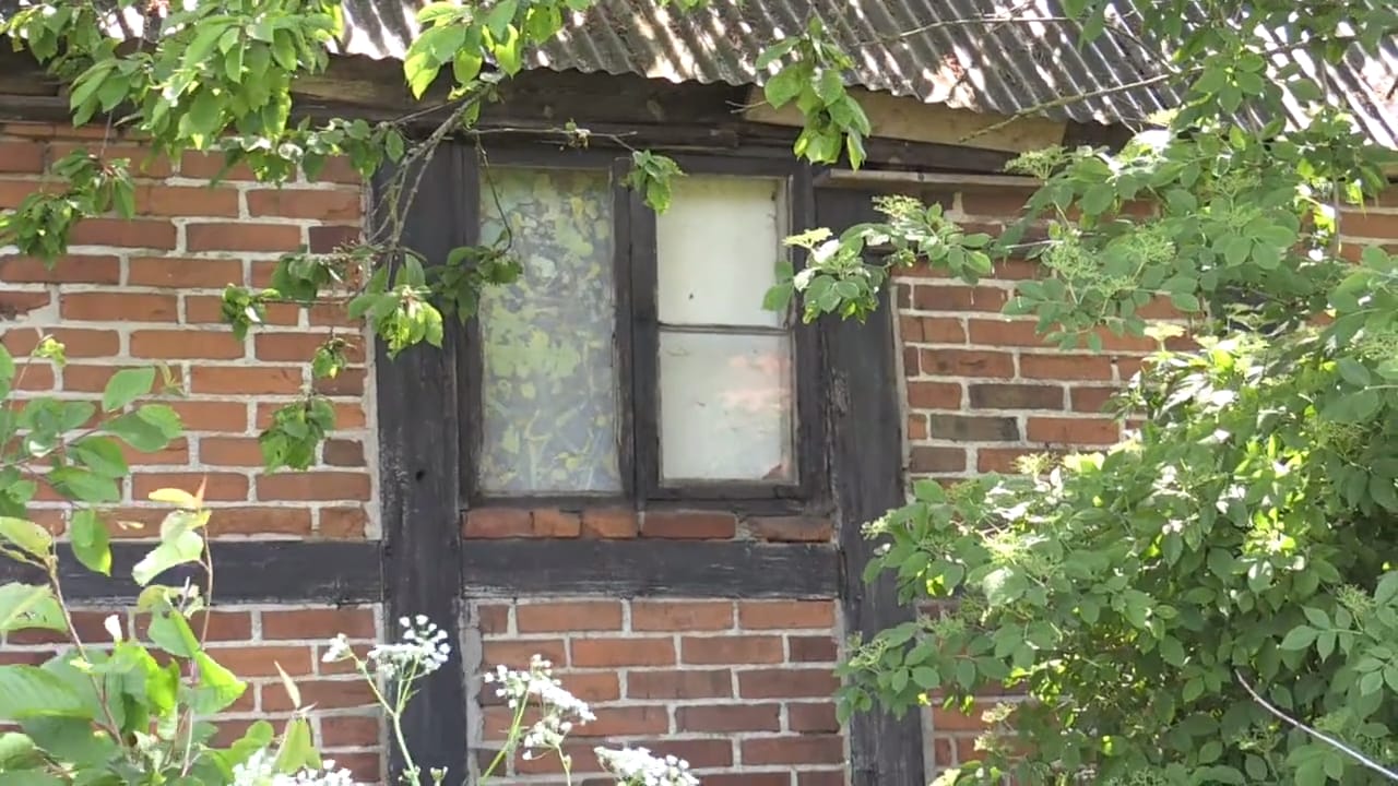 Vanvården av barnen i Ystad kommun – detta har hänt