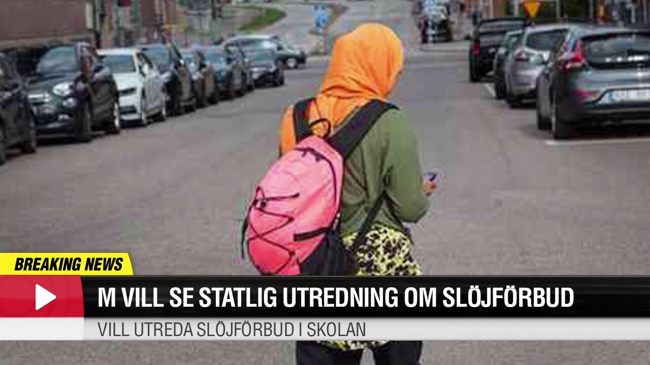 Moderaterna vill utreda slöjförbud i skolan