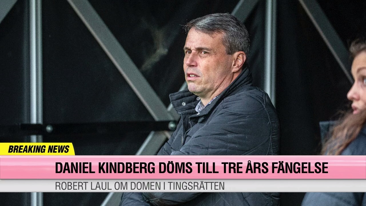 Laul om domen:"Gick helt på åklagarens linje"