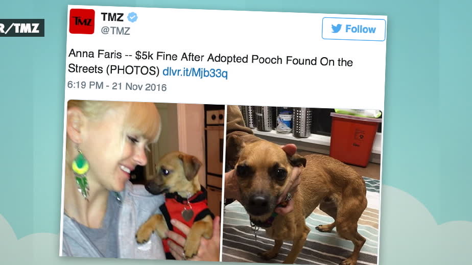 Anna Faris hund funnen utsvulten