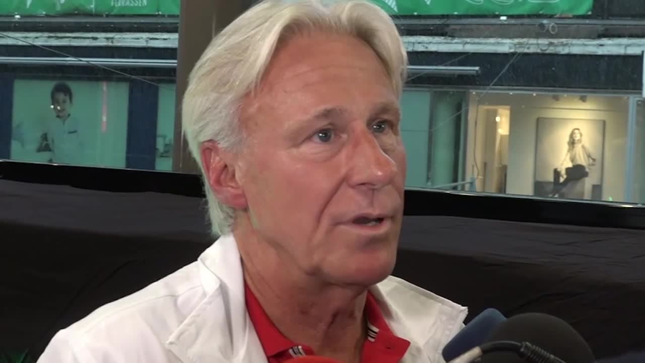 Borg: "Allting irriterade mig"