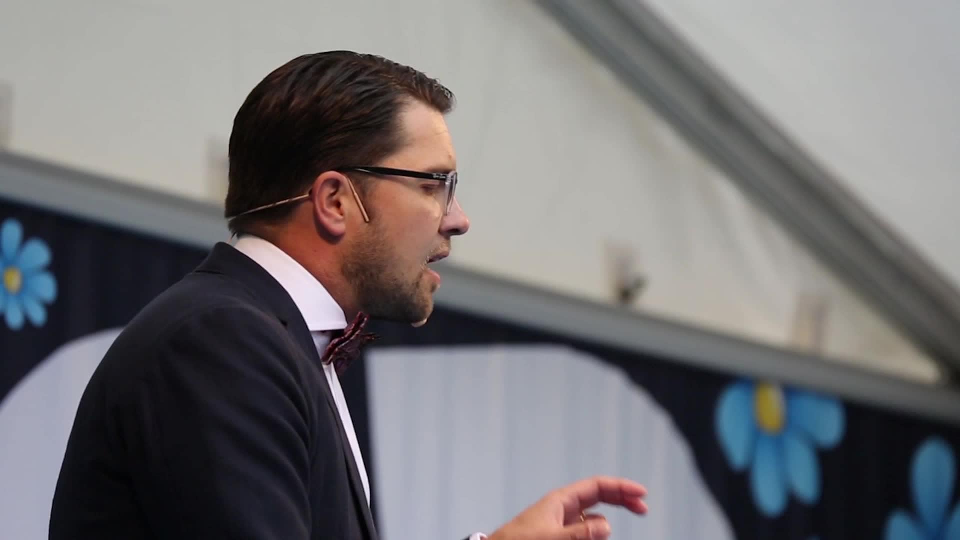 SD vill skära ner med 8 miljarder på klimatet