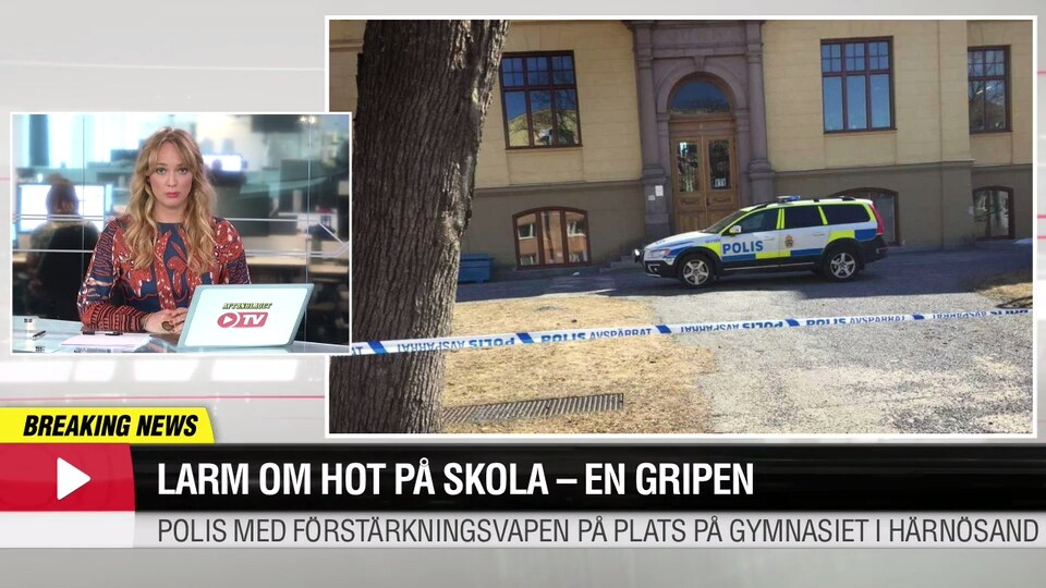 Larm om hot på skola - en gripen