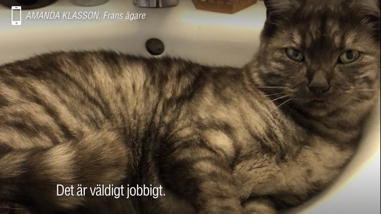 Amanda om mystiska försvinnandet: ”Det är väldigt jobbigt”