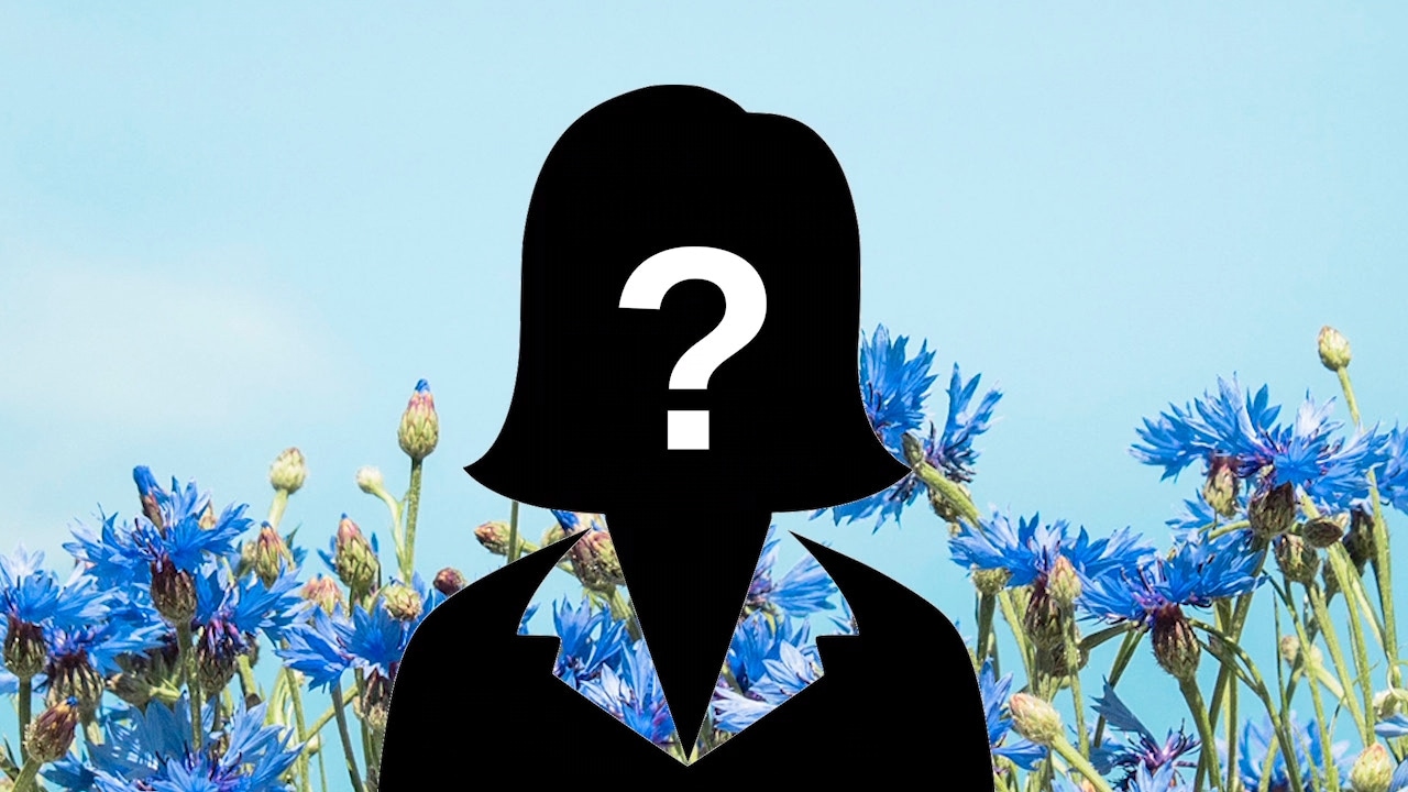 Henne vill Liberala väljare se som ny partiledare – Cecilia Malmström toppar önskelistan