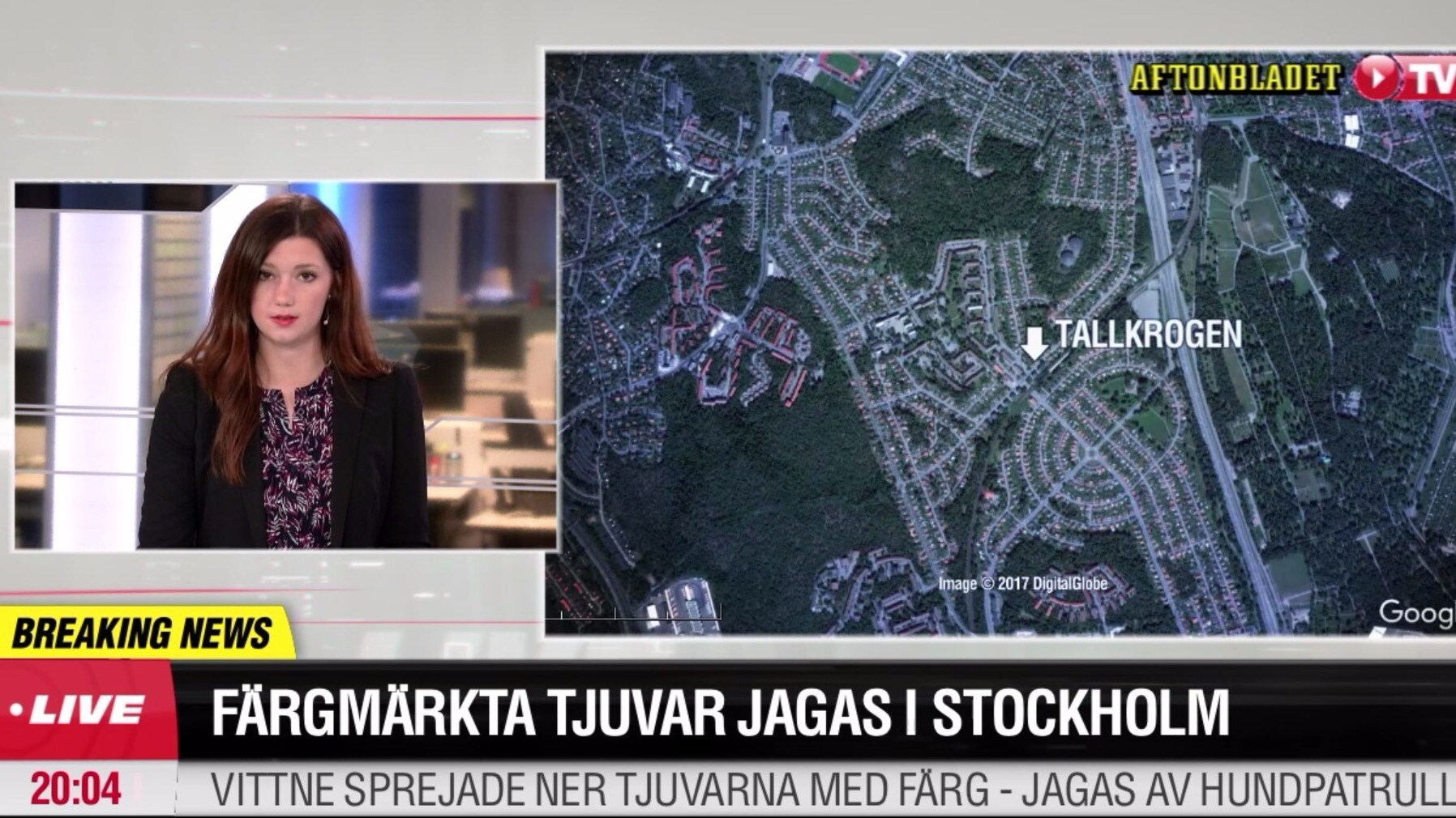 Färgmärkta tjuvar jagas i Stockholm