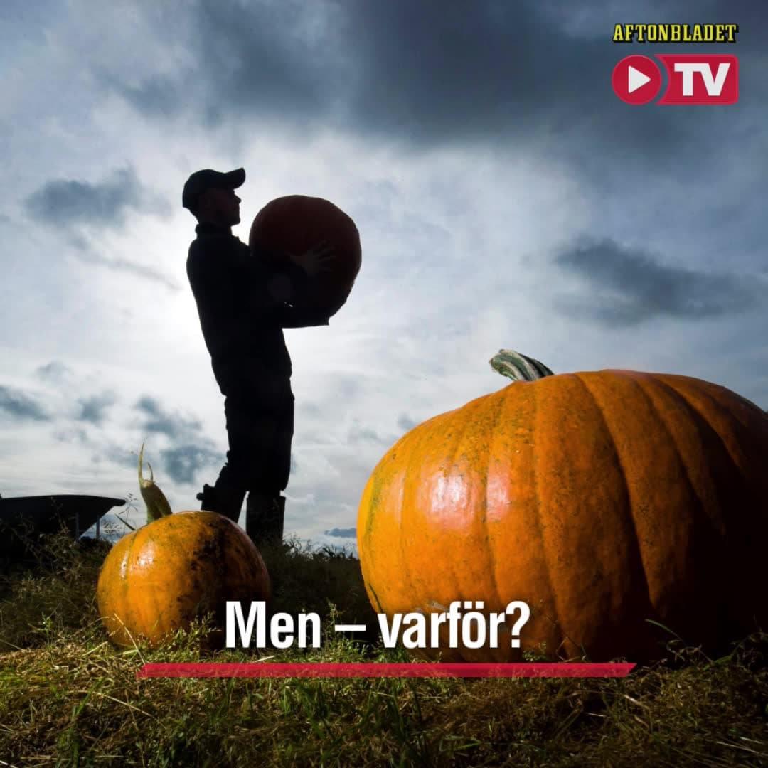 Därför är pumpan en symbol för Halloween
