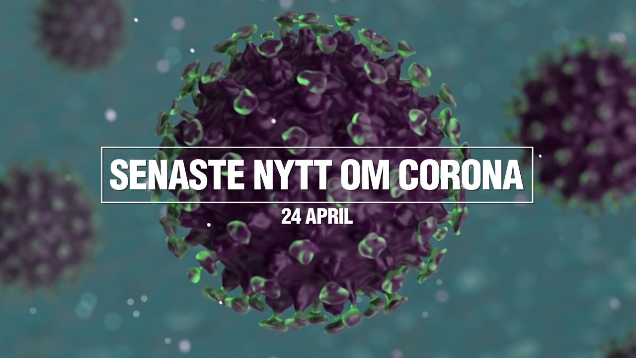 Senaste nytt om coronaviruset – 24 april