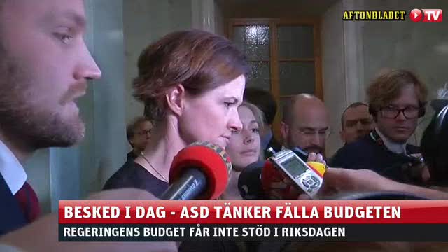 Kinberg Batra: Statsministern har ansvar för sin budget