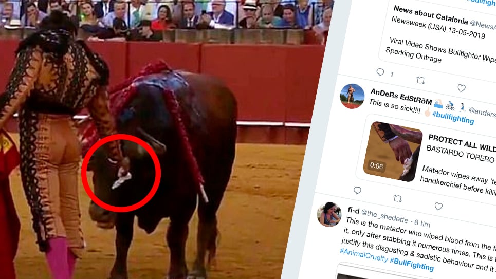 Nätet rasar för det han gör mot döende djuret