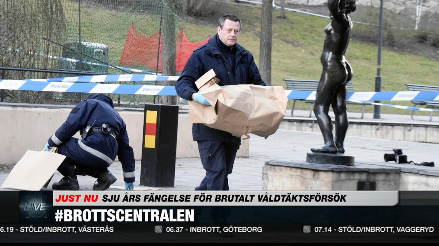 Får sju års fängelse för våldsamma sexattacken