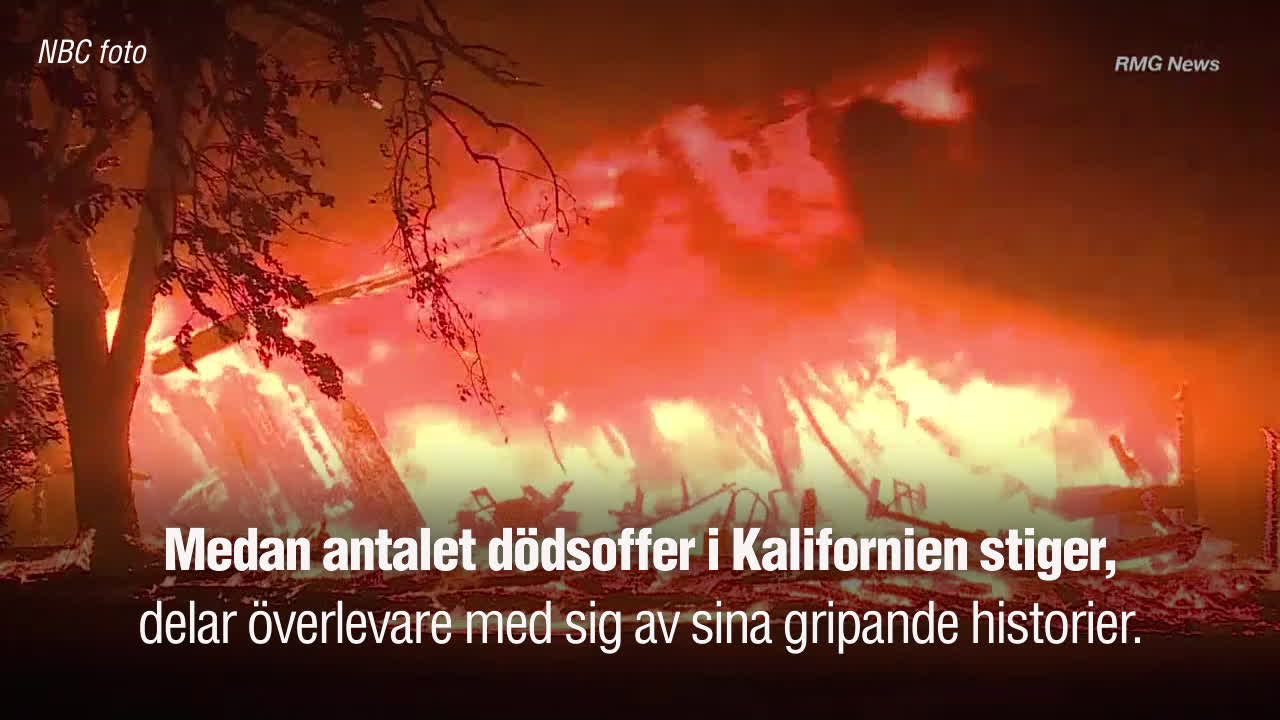 “Dö inte, spring! Ta dig ut ur bilen och spring!”