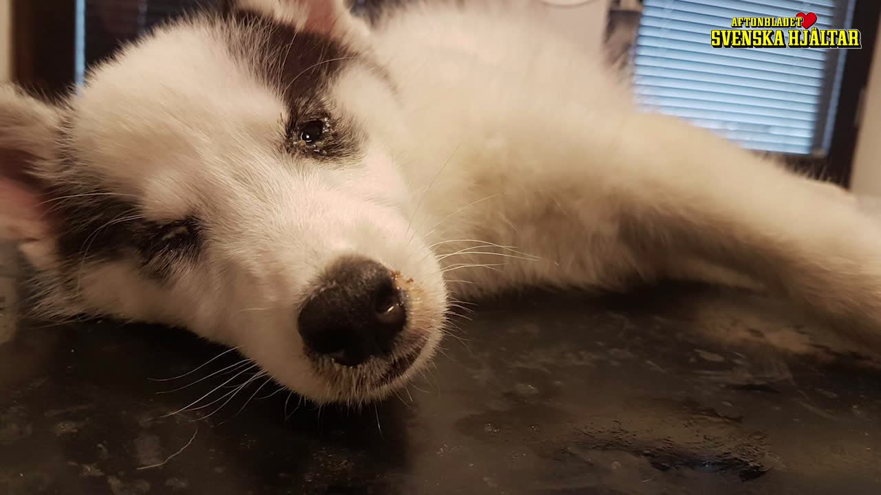 Hero lämnades att dö i skogen – nu bestiger han berg