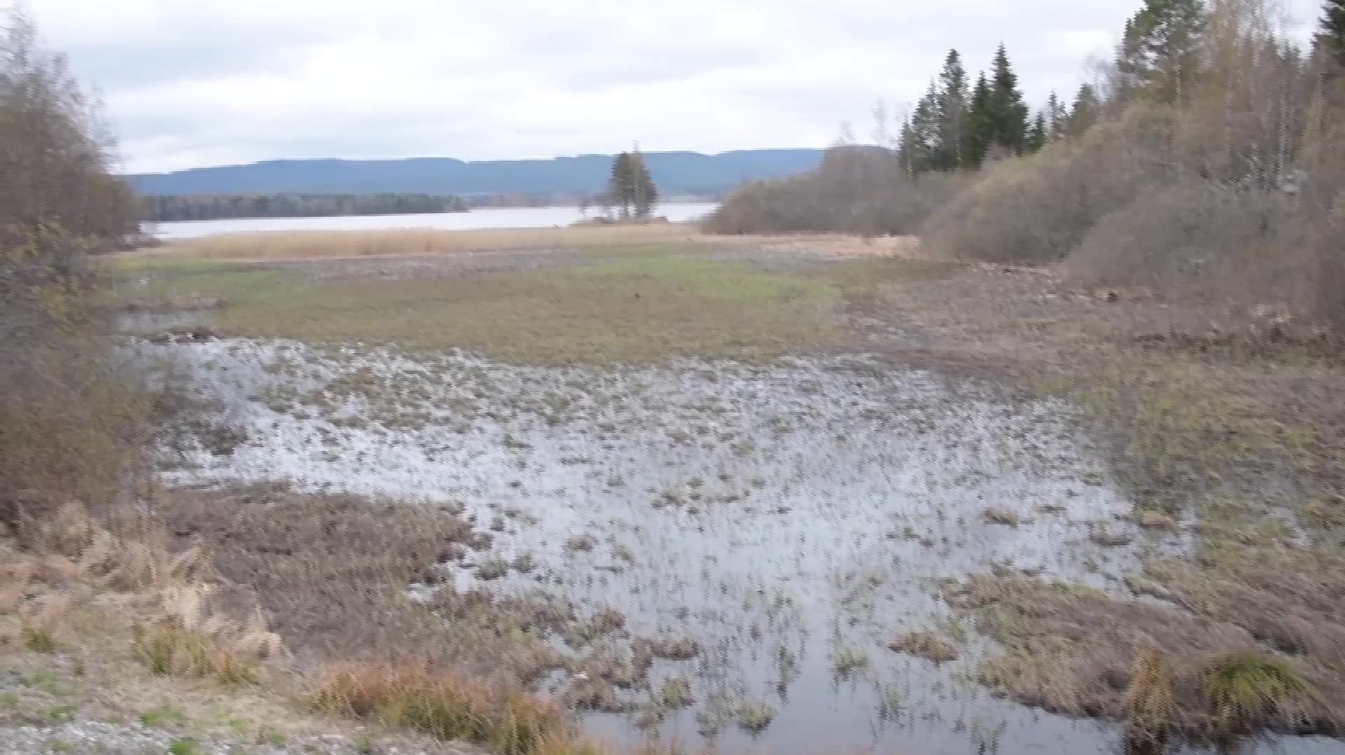 Mordet på Tova – detta har hänt