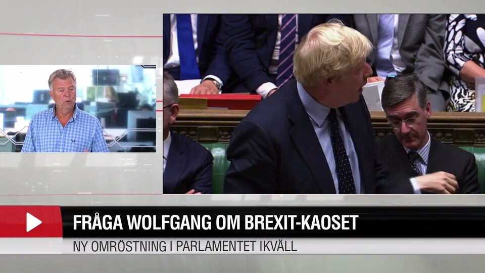 ”Påminner mer om hur det går till i Kina och Nordkorea”