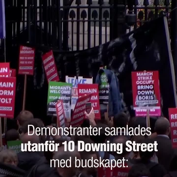 Många oroas inför ett avtalslöst brexit – protester utanför 10 Downing Street