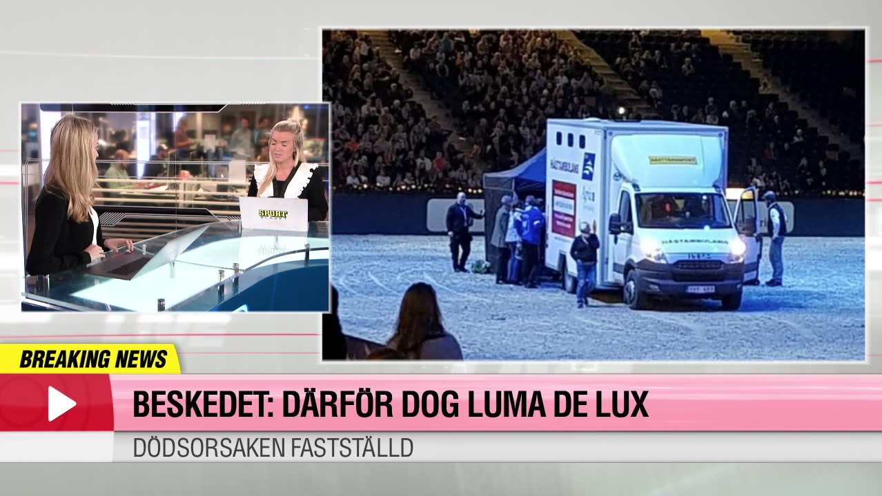 Beskedet: Därför dog Luma De Luxe