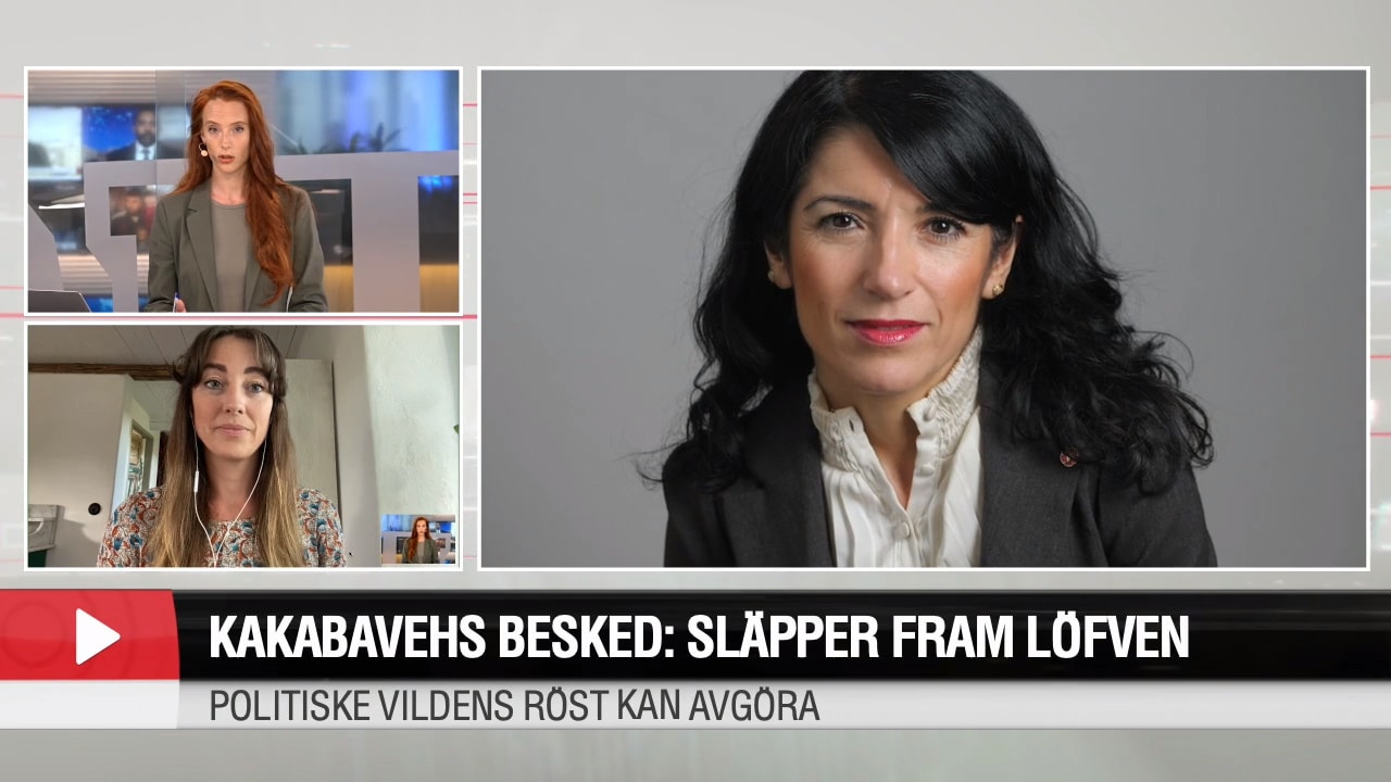 My Rohwedder om Kakabavehs besked: En lättnad för Stefan Löfven