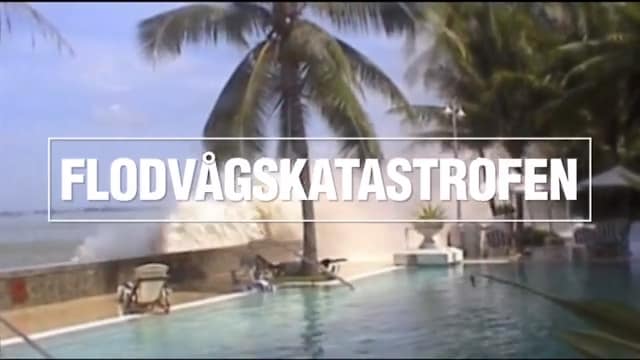 Tsunamin – en av tidernas värsta katastrofer