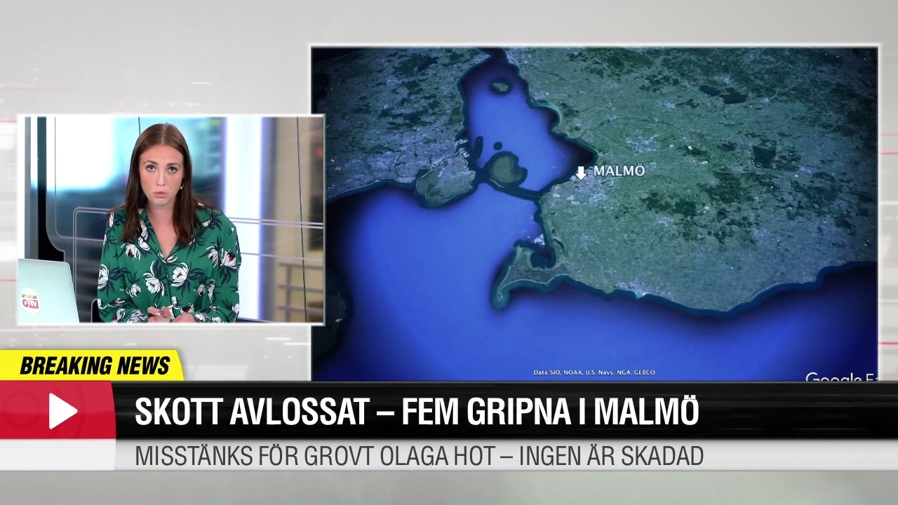 Fem gripna vid Malmö-insats: Polisman har avlossat skott