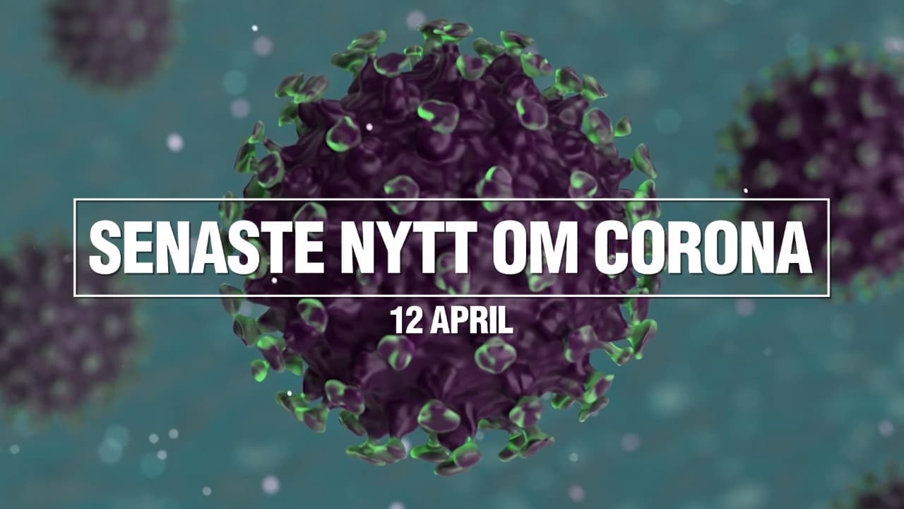 Senaste nytt om coronaviruset