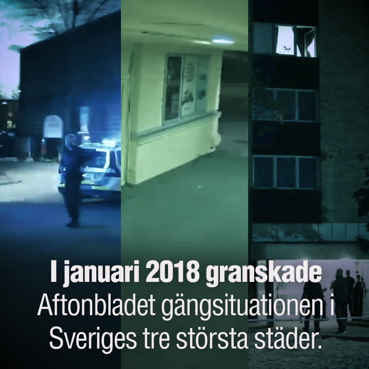 Så funkar kriminella gängen i storstäderna