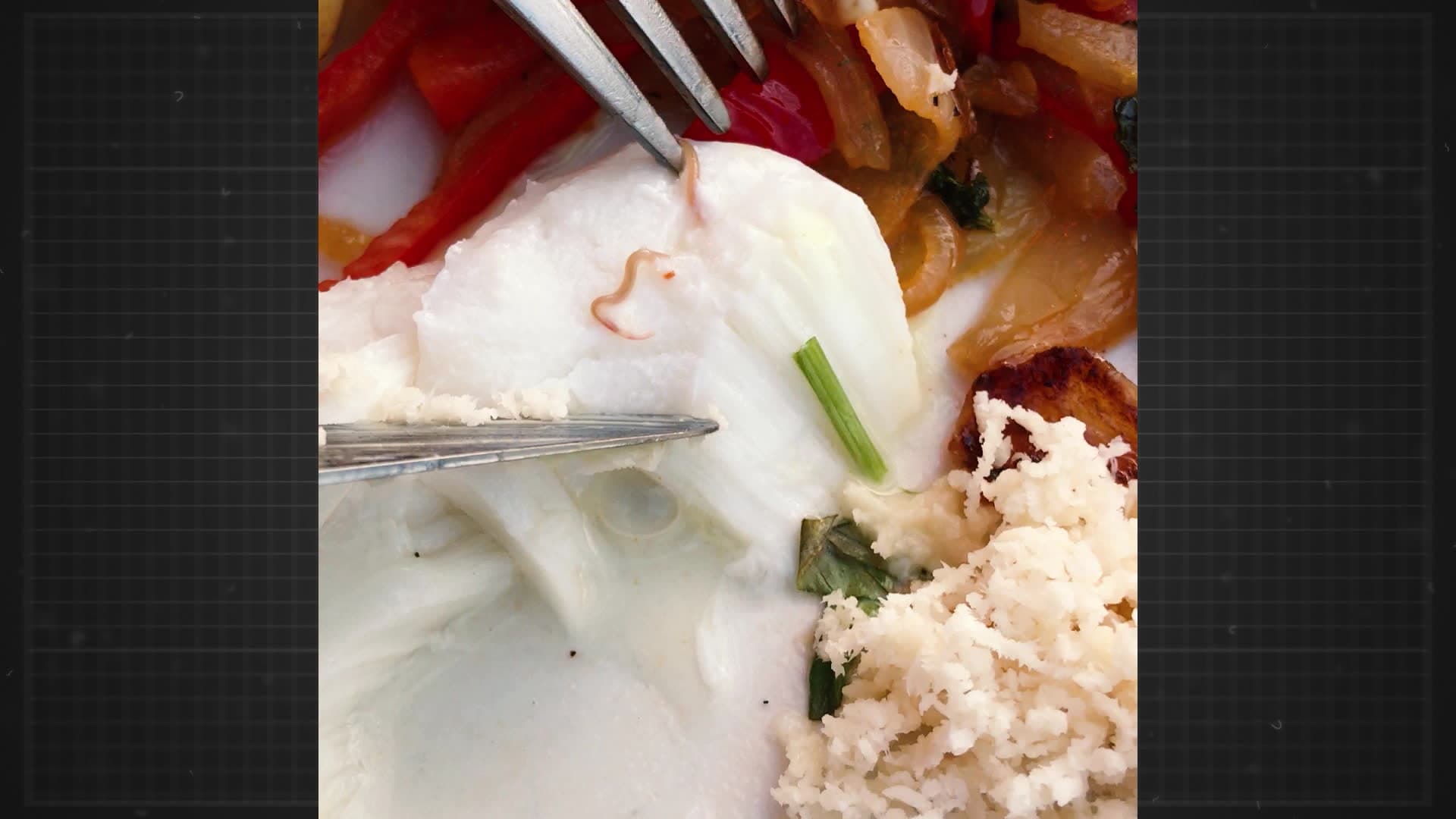 200 sekunder: Mask i fisk