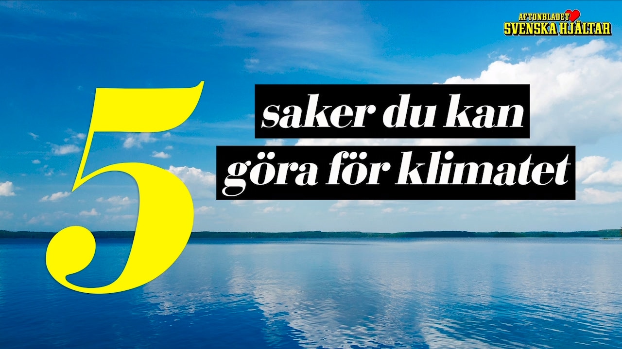 5 saker du kan göra för klimatet