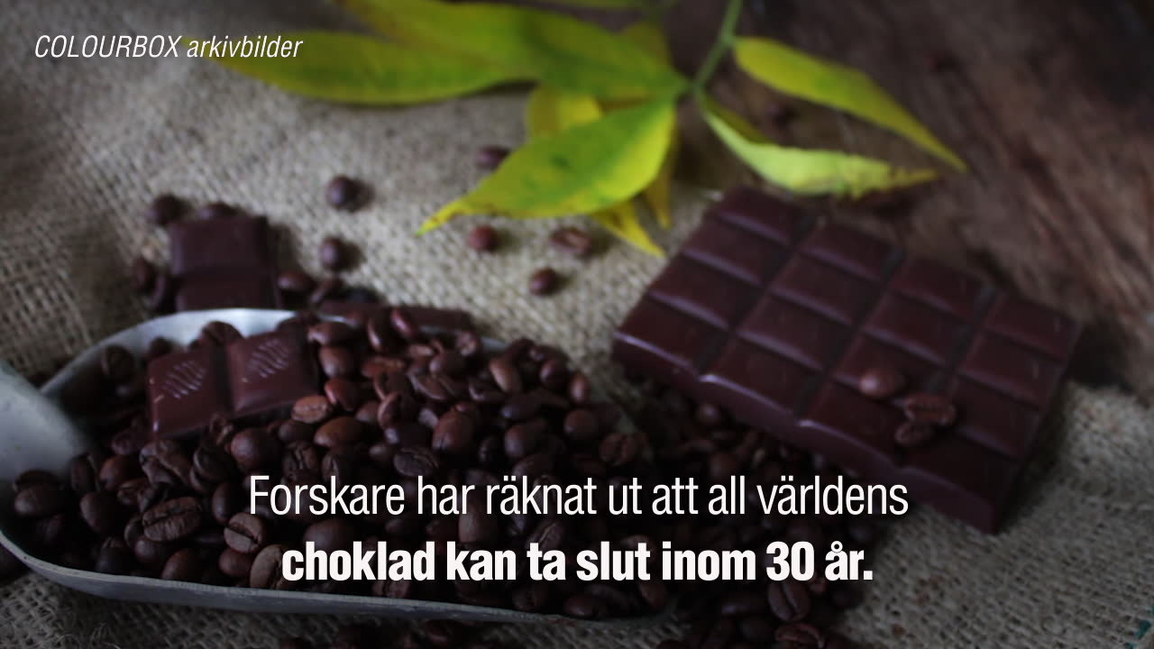 Inom 30 år kan vår choklad vara slut