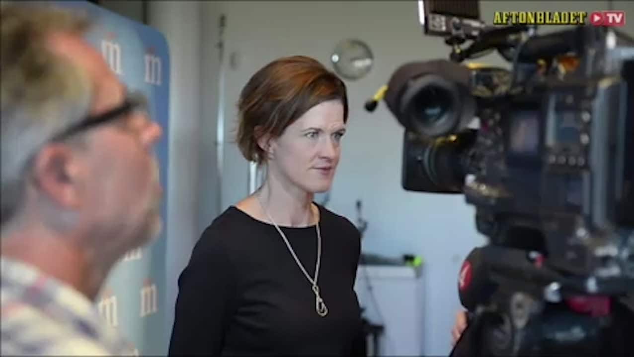 AKB avgår som partiledare - så startade krisen