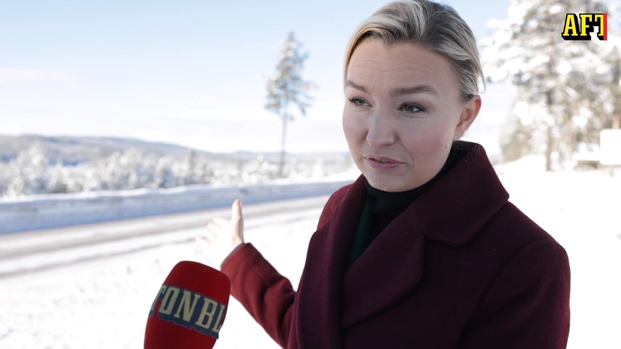 Ebba Busch: "Vi måste ha rimliga priser på köttbullar och falukorv"