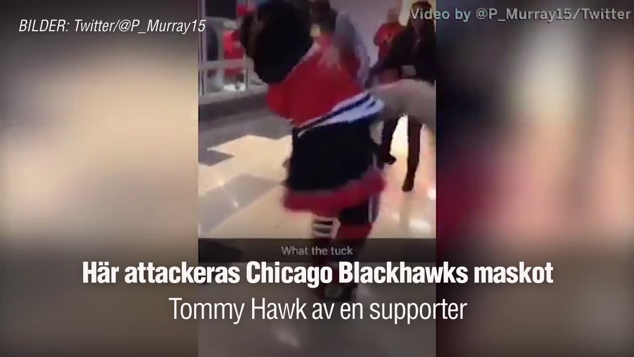 Här utbryter fullt slagsmål med maskoten