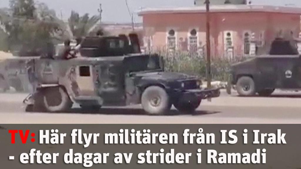 Här flyr militären från IS i Irak