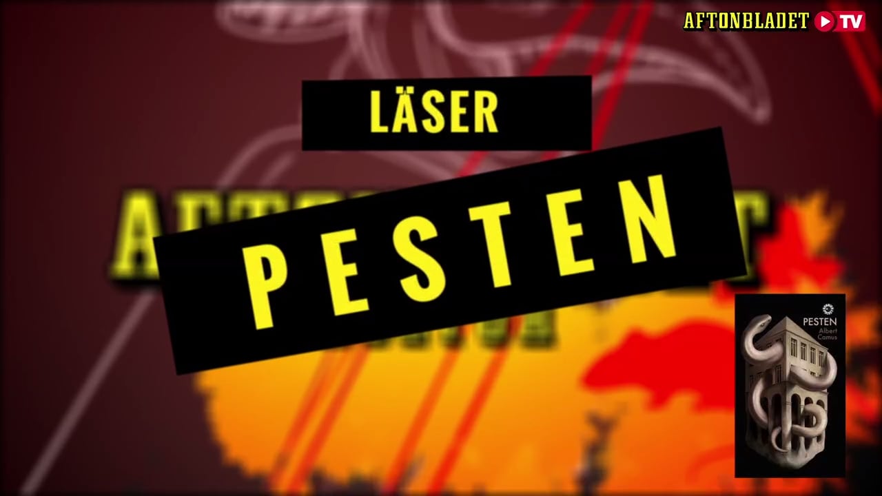 Se när Aftonbladets bokcirkel läser Albert Camus ”Pesten”