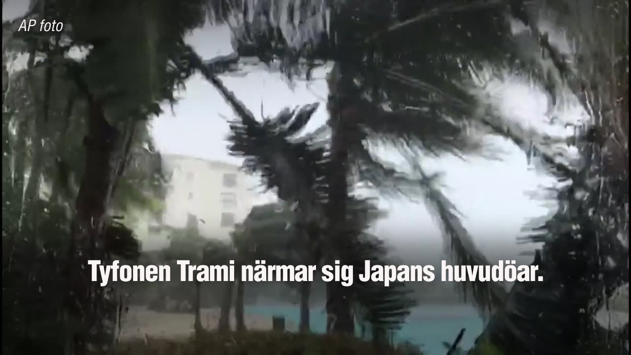 Tyfonen Trami närmar sig Japans huvudöar