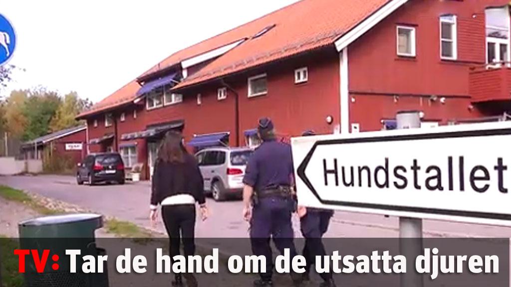 Poliserna som är djurens hjältar