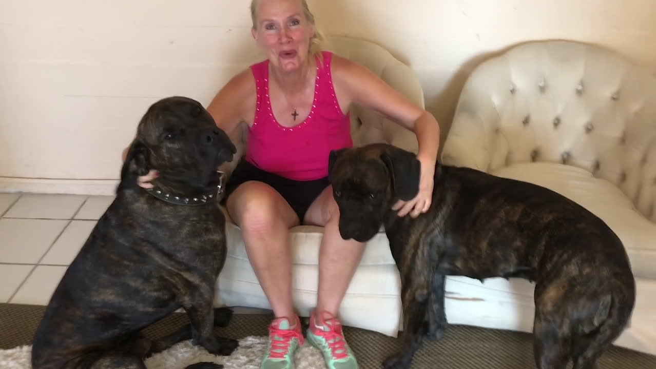 Gunilla Persson räddade två hundar