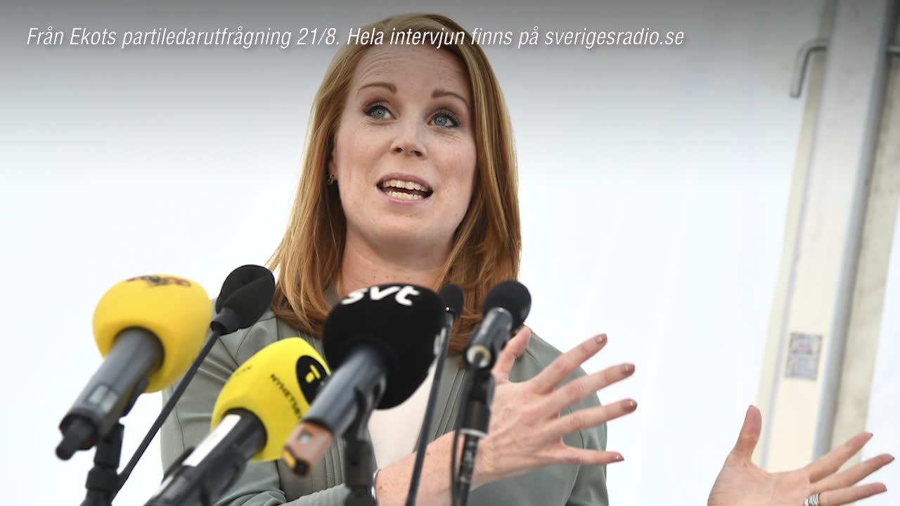 Annie Lööf: ”Kan bli läge att samarbeta över blocken”